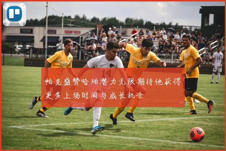 帕克盛赞哈珀潜力无限期待他获得更多上场时间与成长机会