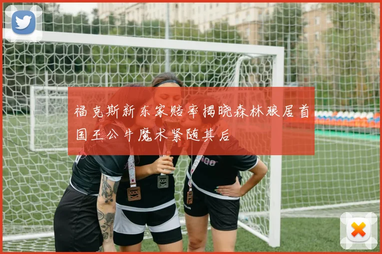 福克斯新东家赔率揭晓森林狼居首国王公牛魔术紧随其后